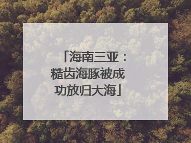 海南三亚：糙齿海豚被成功放归大海