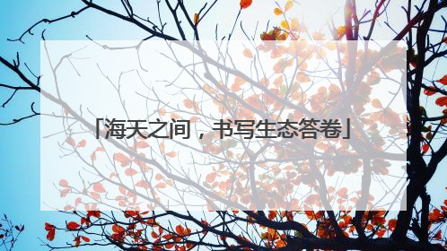海天之间，书写生态答卷