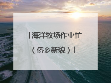 海洋牧场作业忙（侨乡新貌）