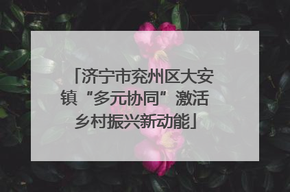济宁市兖州区大安镇“多元协同”激活乡村振兴新动能