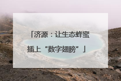 济源：让生态蜂蜜插上“数字翅膀”