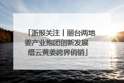 浙报关注丨丽台两地姜产业抱团创新发展 缙云黄姜跨界俏销