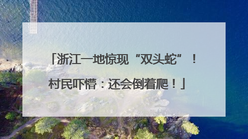 浙江一地惊现“双头蛇”！村民吓懵：还会倒着爬！