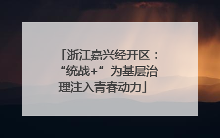 浙江嘉兴经开区：“统战+”为基层治理注入青春动力