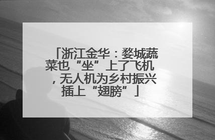 浙江金华：婺城蔬菜也“坐”上了飞机，无人机为乡村振兴插上“翅膀”
