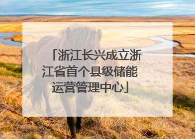 浙江长兴成立浙江省首个县级储能运营管理中心