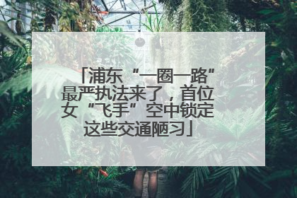 浦东“一圈一路”最严执法来了，首位女“飞手”空中锁定这些交通陋习
