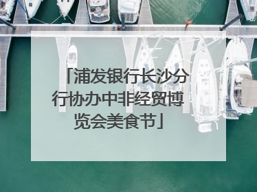 浦发银行长沙分行协办中非经贸博览会美食节