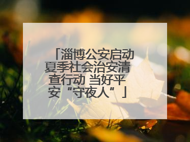 淄博公安启动夏季社会治安清查行动 当好平安“守夜人”