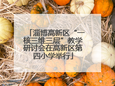 淄博高新区“一核三维三层”教学研讨会在高新区第四小学举行