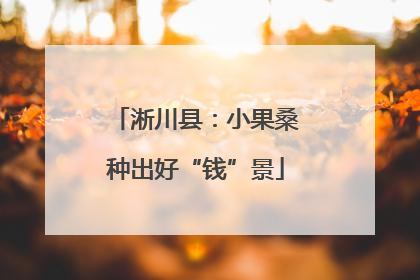 淅川县：小果桑种出好“钱”景