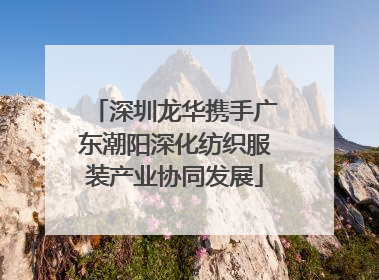 深圳龙华携手广东潮阳深化纺织服装产业协同发展