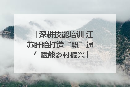 深耕技能培训 江苏盱眙打造“职”通车赋能乡村振兴