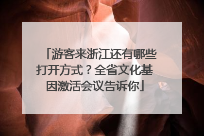 游客来浙江还有哪些打开方式？全省文化基因激活会议告诉你