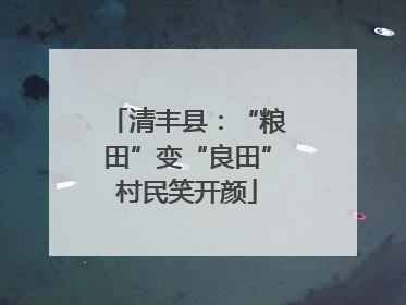 清丰县：“粮田”变“良田”村民笑开颜