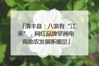 清丰县：八寨有“江来”，网红品牌擘画电商助农发展新图景