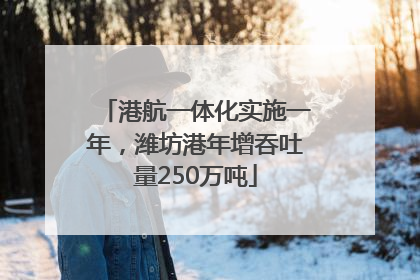 港航一体化实施一年，潍坊港年增吞吐量250万吨