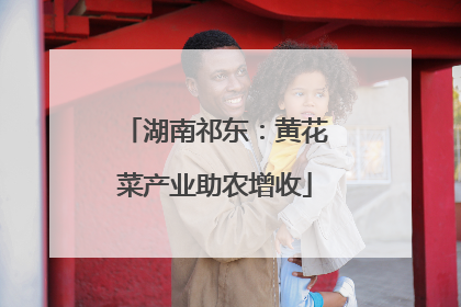 湖南祁东：黄花菜产业助农增收