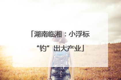 湖南临湘：小浮标“钓”出大产业