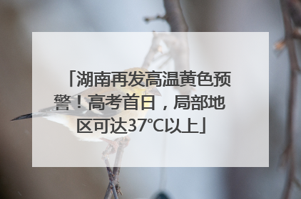 湖南再发高温黄色预警！高考首日，局部地区可达37℃以上