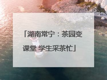 湖南常宁：茶园变课堂 学生采茶忙