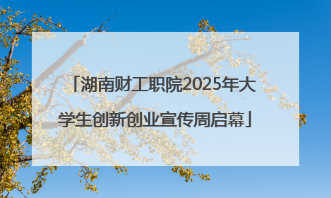 湖南财工职院2025年大学生创新创业宣传周启幕