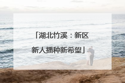 湖北竹溪：新区新人播种新希望