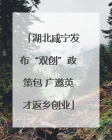 湖北咸宁发布“双创”政策包 广邀英才返乡创业