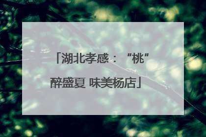 湖北孝感：“桃”醉盛夏 味美杨店