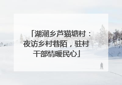 湖潮乡芦猫塘村：夜访乡村巷陌，驻村干部情暖民心