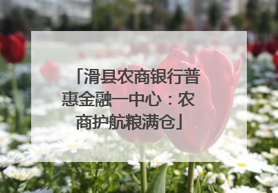 滑县农商银行普惠金融一中心：农商护航粮满仓
