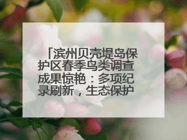 滨州贝壳堤岛保护区春季鸟类调查成果惊艳：多项纪录刷新，生态保护成效显著