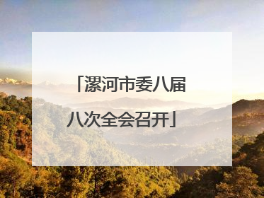 漯河市委八届八次全会召开