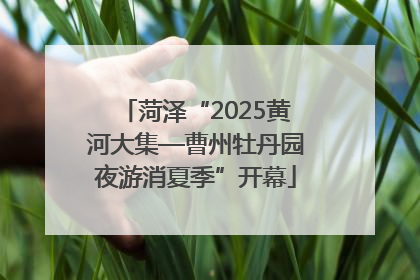 菏泽“2025黄河大集—曹州牡丹园夜游消夏季”开幕