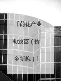 荷花产业助致富（侨乡新貌）