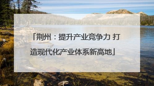 荆州：提升产业竞争力 打造现代化产业体系新高地