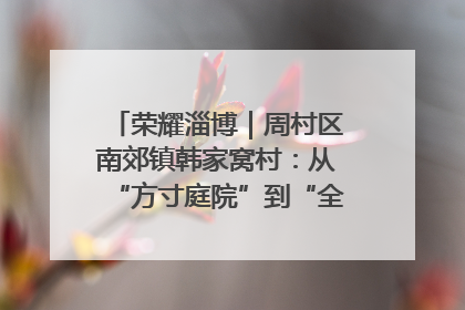 荣耀淄博｜周村区南郊镇韩家窝村：从“方寸庭院”到“全域文明”，乡村振兴的“美学革命”