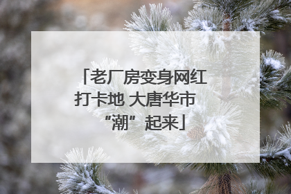 老厂房变身网红打卡地 大唐华市“潮”起来