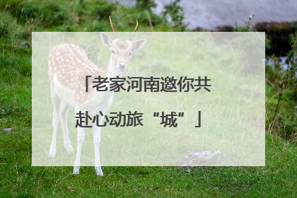 老家河南邀你共赴心动旅“城”