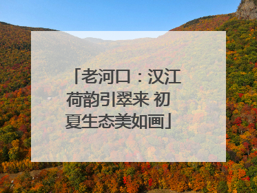 老河口：汉江荷韵引翠来 初夏生态美如画
