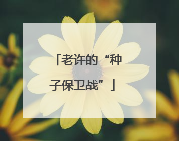 老许的“种子保卫战”