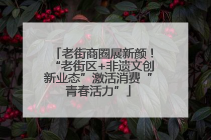 老街商圈展新颜！“老街区+非遗文创新业态”激活消费“青春活力”