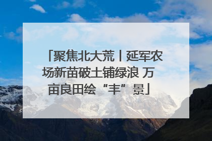 聚焦北大荒丨延军农场新苗破土铺绿浪 万亩良田绘“丰”景