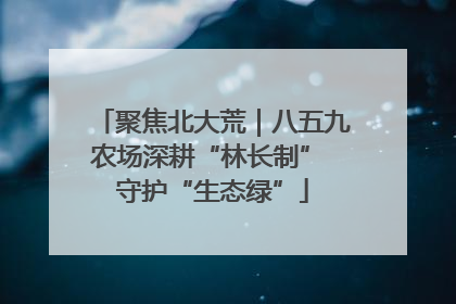聚焦北大荒｜八五九农场深耕“林长制” 守护“生态绿”