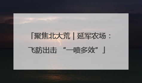 聚焦北大荒｜延军农场：飞防出击 “一喷多效”