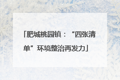 肥城桃园镇：“四张清单”环境整治再发力