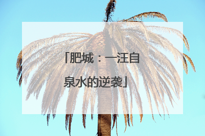 肥城：一汪自泉水的逆袭
