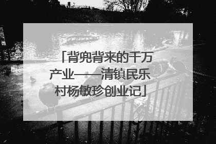 背兜背来的千万产业——清镇民乐村杨敏珍创业记