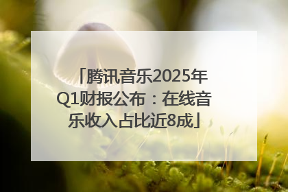 腾讯音乐2025年Q1财报公布：在线音乐收入占比近8成