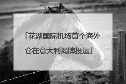花湖国际机场首个海外仓在意大利揭牌投运
